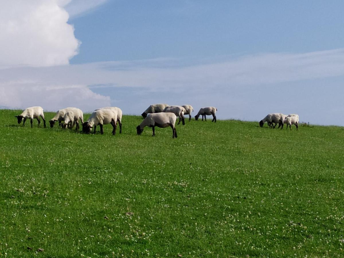 Ferienwohnung Zeit Fuer Uns Berumbur Luaran gambar